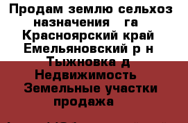 Продам землю сельхоз.назначения 12га - Красноярский край, Емельяновский р-н, Тыжновка д. Недвижимость » Земельные участки продажа   